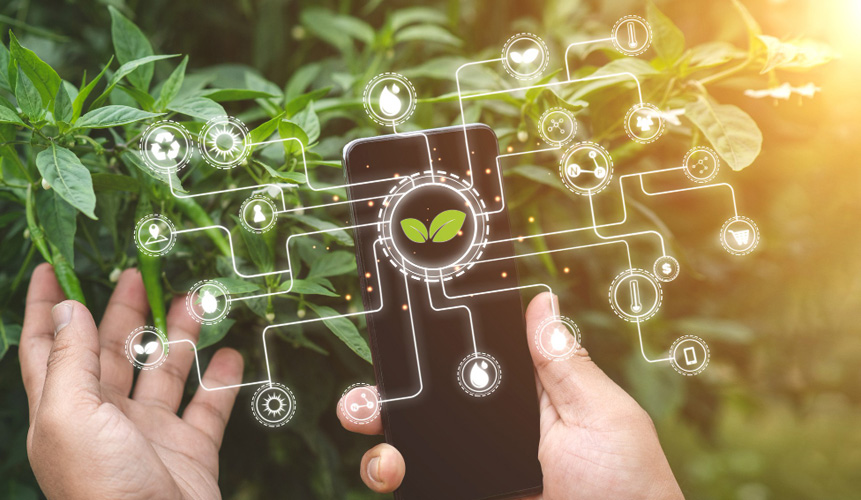 الابتكار المستدام